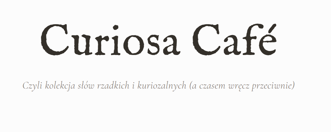 Curiosa Café – blog o słowach